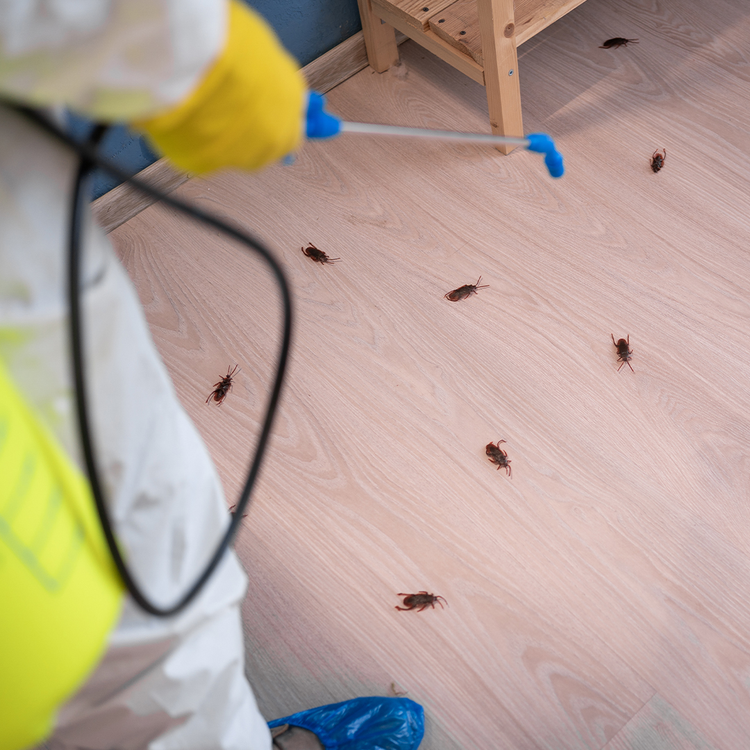 Insect Control Application