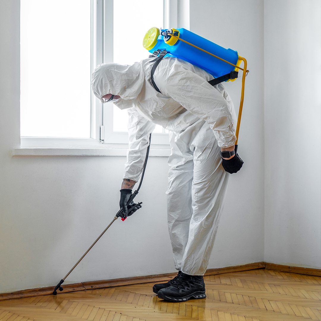 VPS Pest Control Being Applied